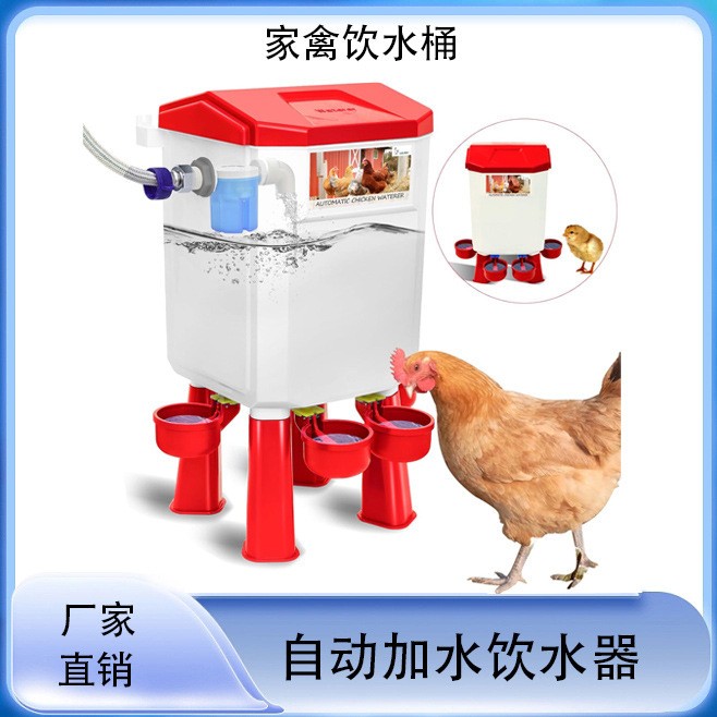 家禽自动加水饮水器全新饮水桶套装带水管可自动加水鸡鸭鹅喂水器图2