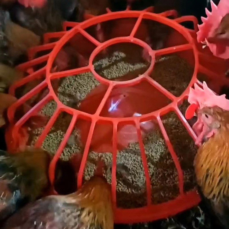 鸡食槽家禽喂食槽小鸡喂食器加厚牛筋盆鸡鸭鹅鸽子料槽牛筋鸡食槽图2