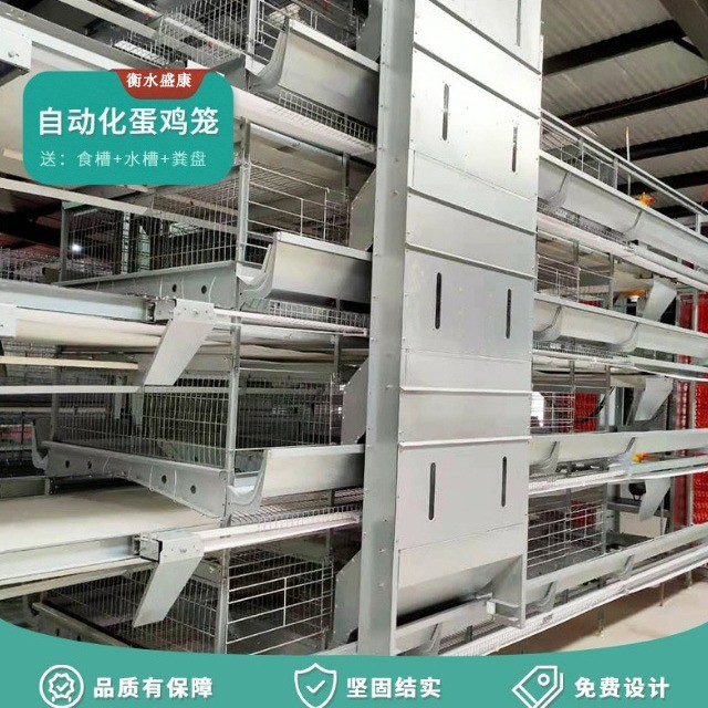 鸡笼层叠式蛋鸡笼3层/4层全自动养殖笼具热镀锌立式新型养鸡鸡笼图2
