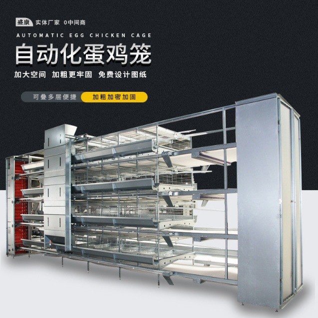 鸡笼层叠式蛋鸡笼3层/4层全自动养殖笼具热镀锌立式新型养鸡鸡笼图4