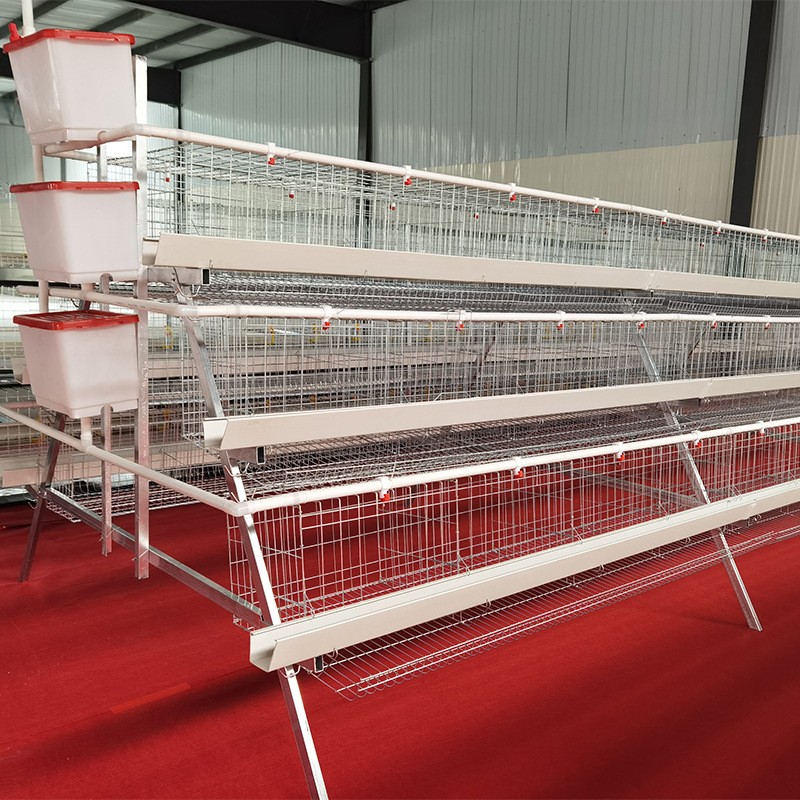 阶梯蛋鸡笼养殖场专用笼鸡笼子阶梯式蛋鸡笼养鸡设备养殖鸡笼全套图2