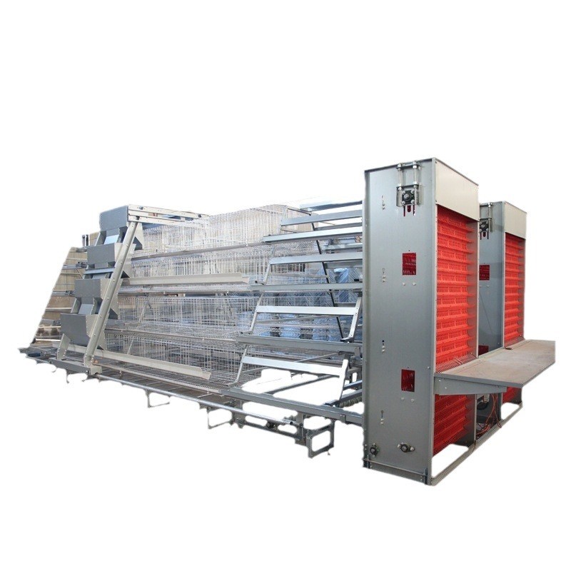 阶梯蛋鸡笼养殖场专用笼鸡笼子阶梯式蛋鸡笼养鸡设备养殖鸡笼全套图5