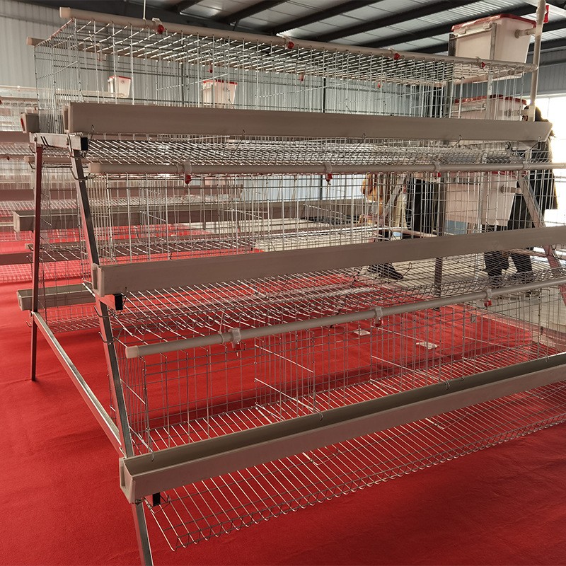 阶梯蛋鸡笼养殖场专用笼鸡笼子阶梯式蛋鸡笼养鸡设备养殖鸡笼全套图4