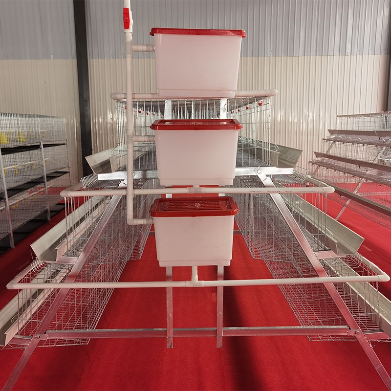 阶梯蛋鸡笼养殖场专用笼鸡笼子阶梯式蛋鸡笼养鸡设备养殖鸡笼全套图3