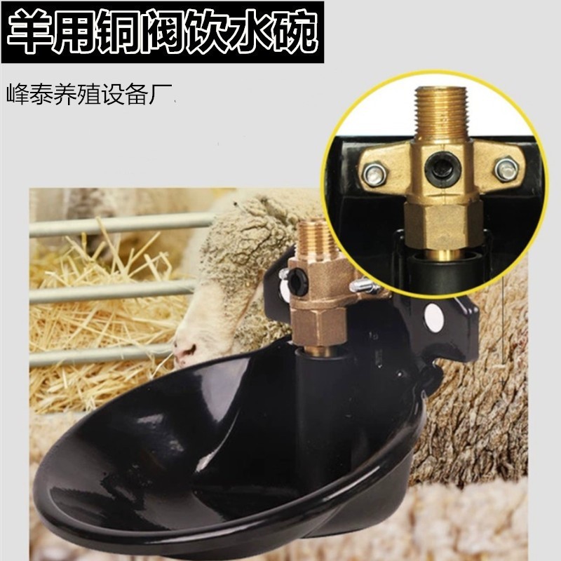 羊喝水自动饮水器猪牛羊饮水盆喝水槽铁羊碗羊用自动饮水碗铜阀图2