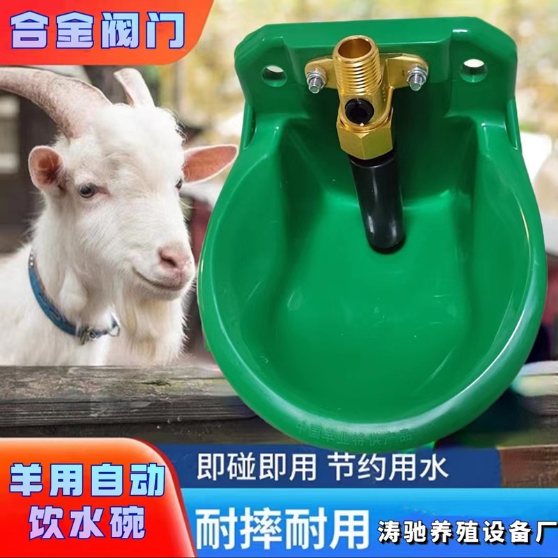 牛羊饮水器自动喂水合金阀门兽用喝水盆养羊设备水槽羊用饮水碗