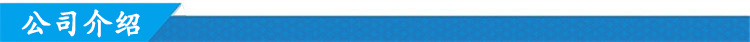 5 公司介绍