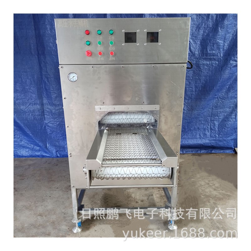 高压水去鳞机FCM-658 去鱼鳞机器 草鱼 黑鱼 三文鱼去鱼鳞机图4