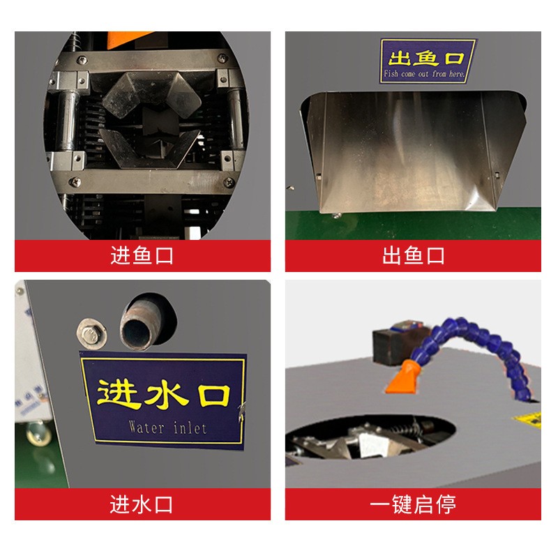 全自动商用杀鱼机除鳞机开膛开肚去鳞开背多功能杀鱼一体机图4