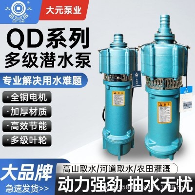 大元QD潜水泵多级小老鼠家用大流量农用灌溉高扬程单相220V喷泉泵