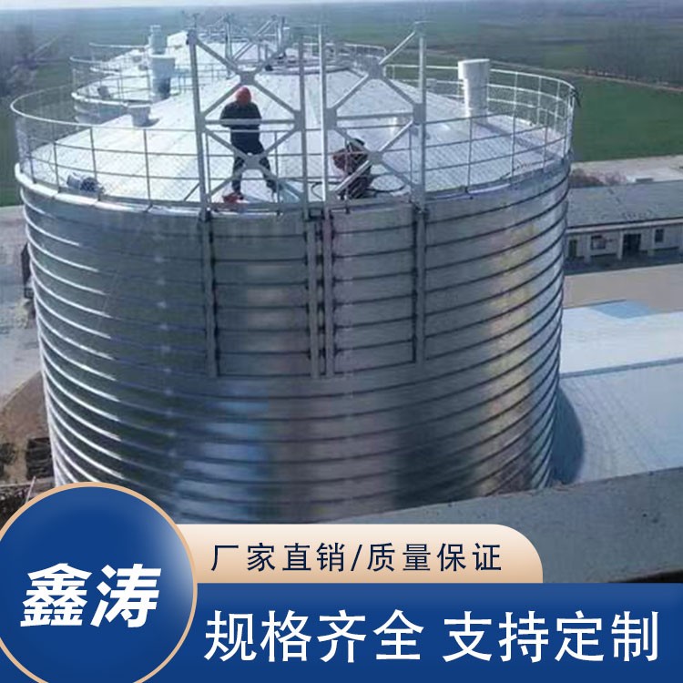 利普仓 矿粉储存 防腐耐磨 可现场施工安装 来图定制图3