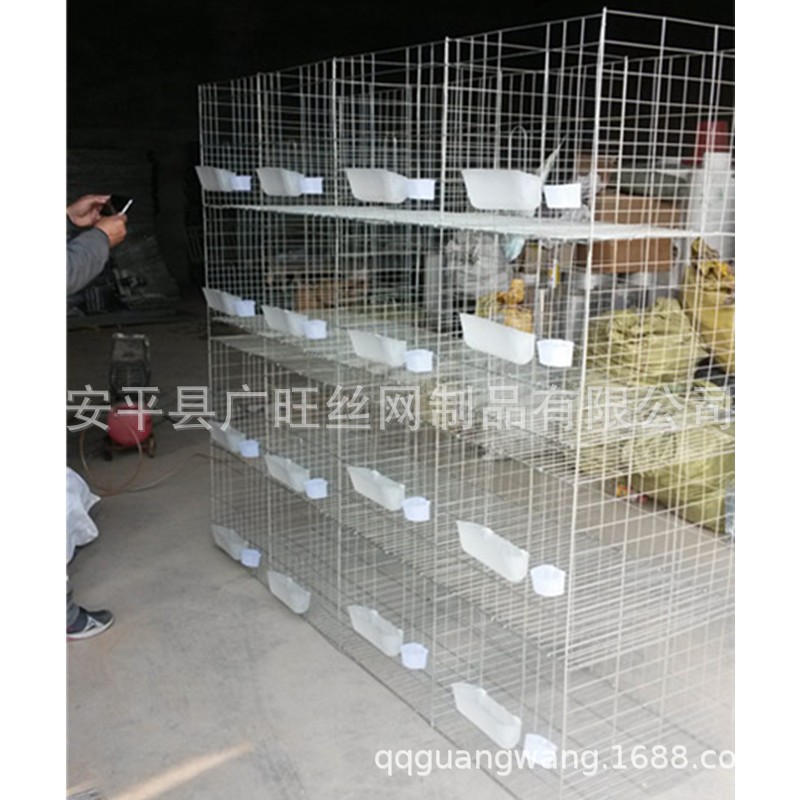 广旺丝网 鸽笼厂家 肉鸽笼 三层十二位鸽笼 鸽子笼批发图4