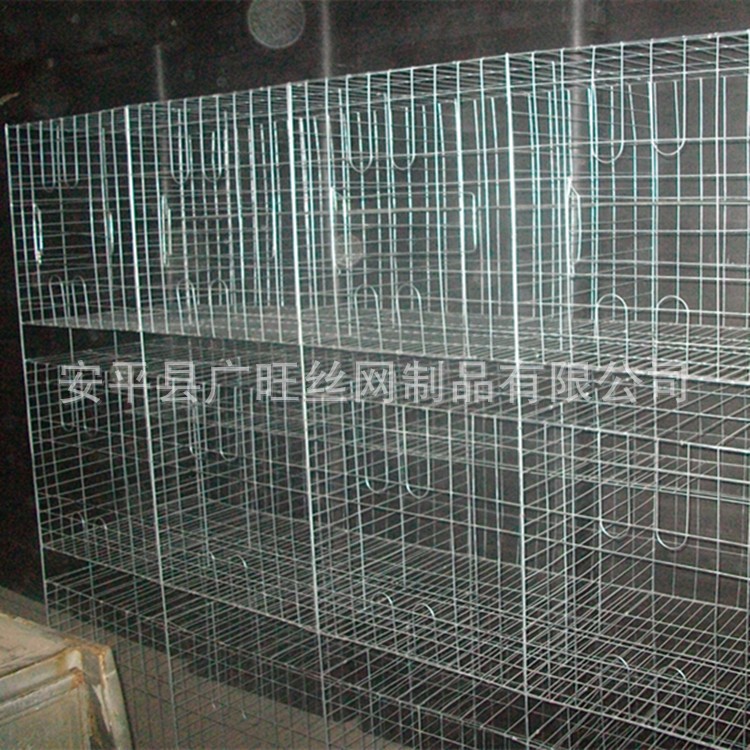 广旺丝网 鸽笼厂家 肉鸽笼 三层十二位鸽笼 鸽子笼批发图3