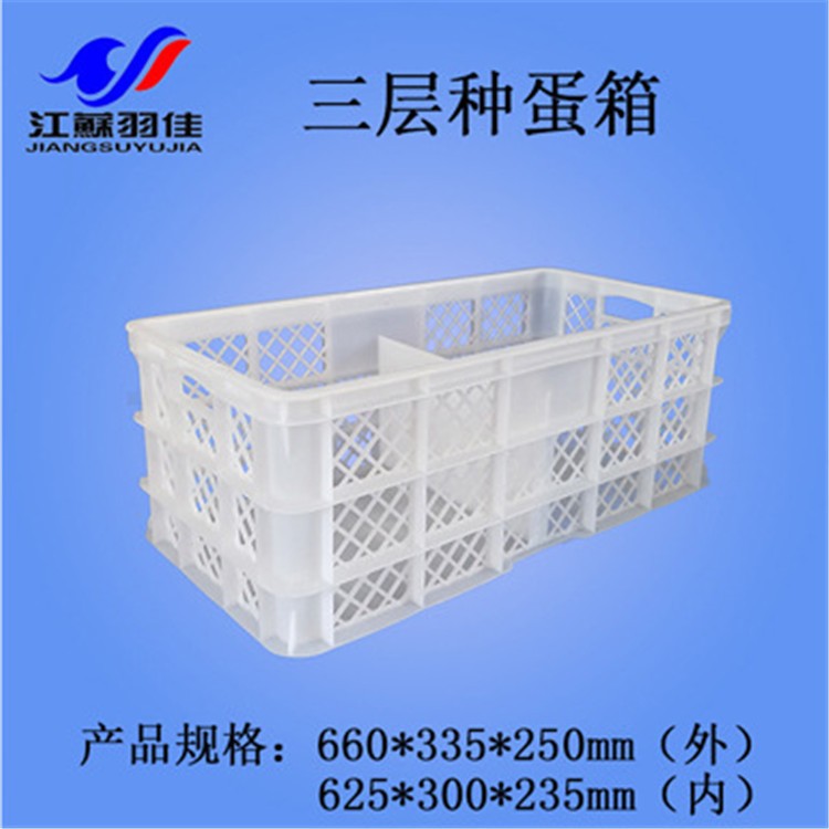 种蛋箱鸡蛋箱沥水筐蔬菜筐塑料周转箱食品箱羽佳直销加厚全新熟料图3