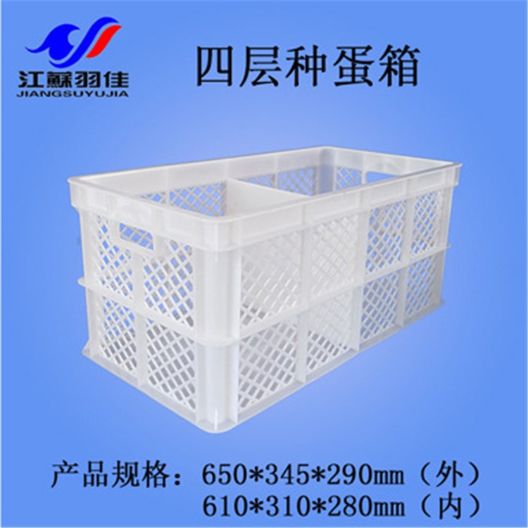种蛋箱鸡蛋箱沥水筐蔬菜筐塑料周转箱食品箱羽佳直销加厚全新熟料图4