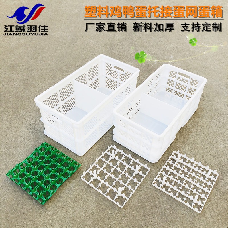 种蛋箱鸡蛋箱沥水筐蔬菜筐塑料周转箱食品箱羽佳直销加厚全新熟料图2