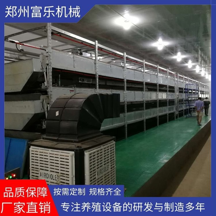 智能黑水虻养殖机械 多层框架式养虫设备 处理餐厨垃圾设备图2