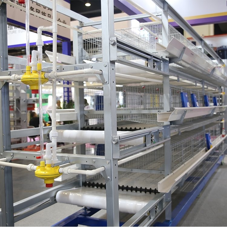 9LCD养蛋鸡设备热镀锌层叠式蛋鸡笼养设备高密度养鸡设备定制图3