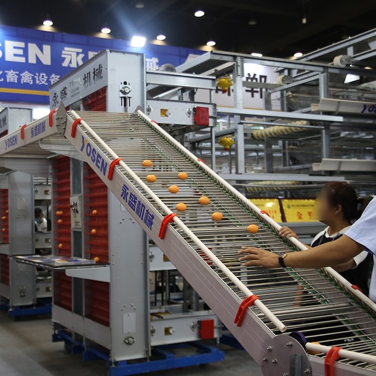 大型养鸡场自动养鸡设备现代化智能养鸡系统四层层叠式全自助鸡笼图3