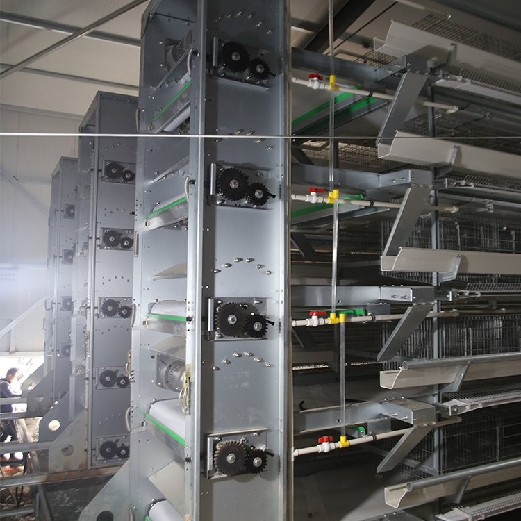 大型养鸡场自动养鸡设备现代化智能养鸡系统四层层叠式全自助鸡笼图2