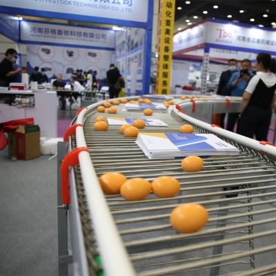 新型全自助阶梯式四层蛋鸡笼热镀锌层叠式智能蛋鸡笼养设备定制