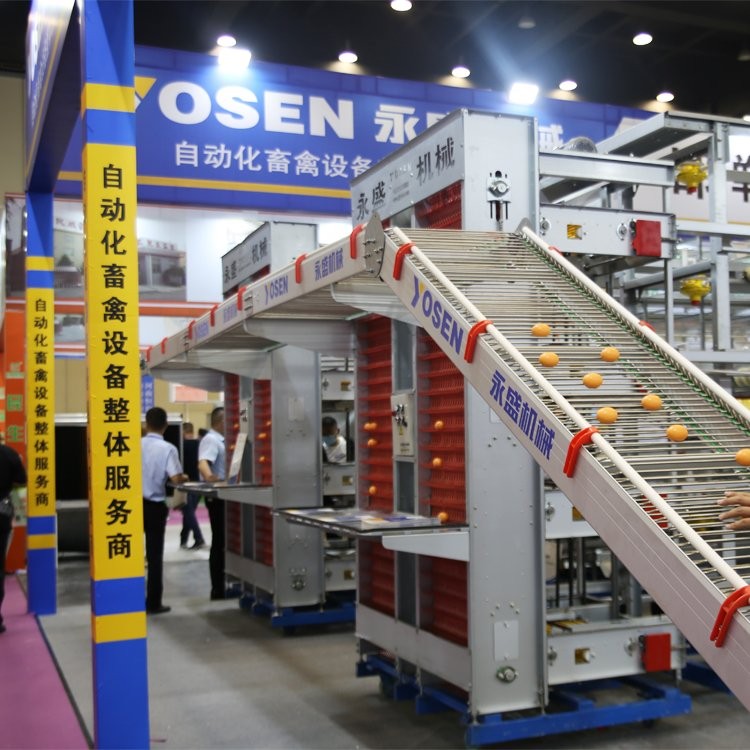 新型全自助阶梯式四层蛋鸡笼热镀锌层叠式智能蛋鸡笼养设备定制图2