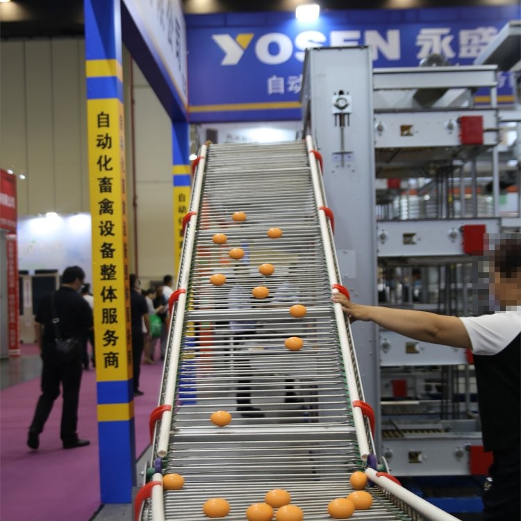 新型全自助阶梯式四层蛋鸡笼热镀锌层叠式智能蛋鸡笼养设备定制图3