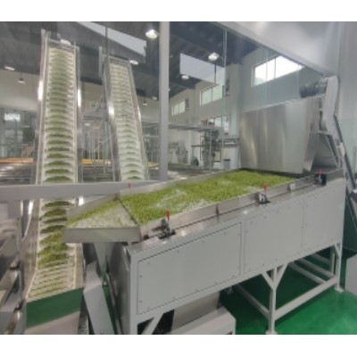 毛尖茶生产线图3