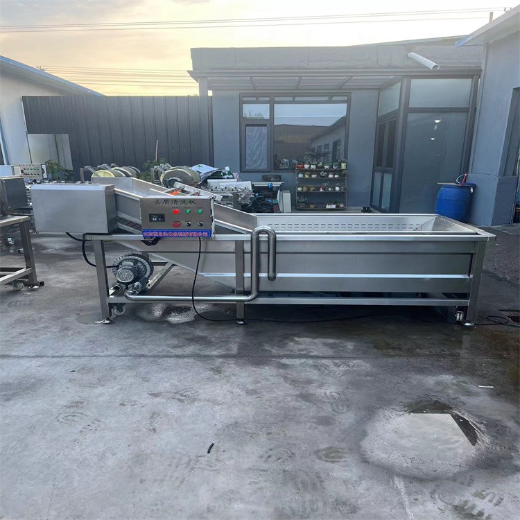 商用水果气泡清洗机 玉米加工气泡清洗流水线 叶类净菜全套加工设备图3