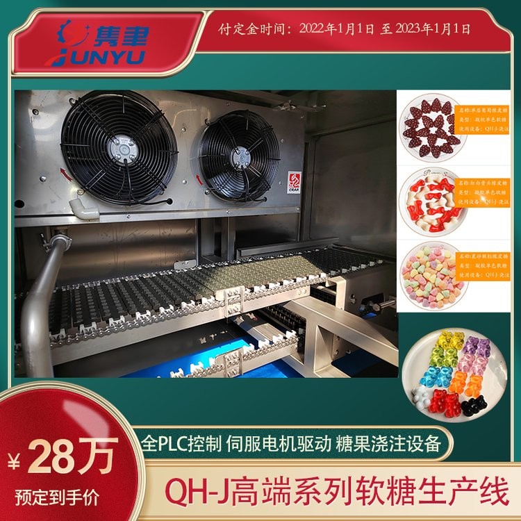 全自动功能性软糖生产线 中药软糖生产设备 凝胶糖果机图3