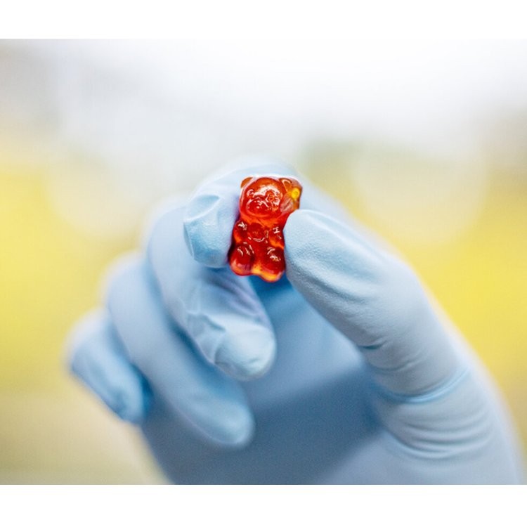 27KW大功率糖果生产线 熬糖浇注多功能一体机 高效生产150kg/h 27KW大功率糖果生产线 熬糖浇注多功能一体机 高效生产150kg/h