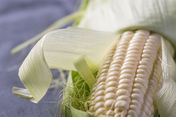 玉米
