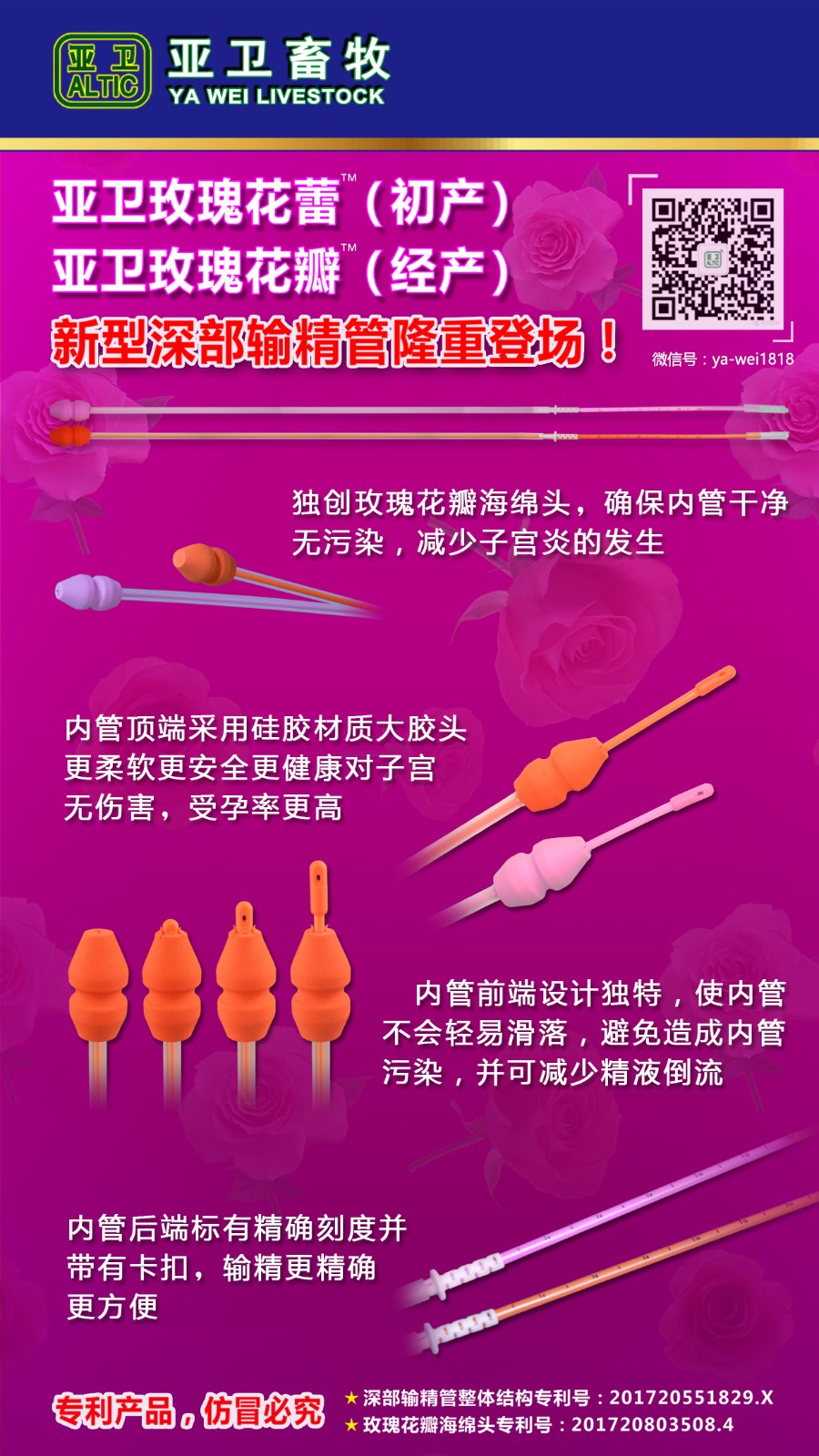 新一代玫瑰花瓣（经产） 玫瑰花蕾（初产）深部输精管图6