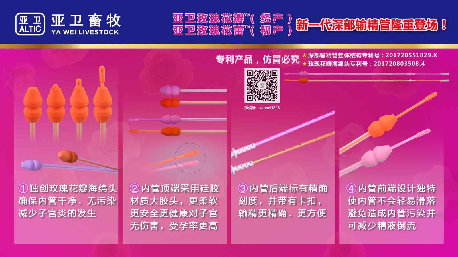 新一代玫瑰花瓣（经产） 玫瑰花蕾（初产）深部输精管图7