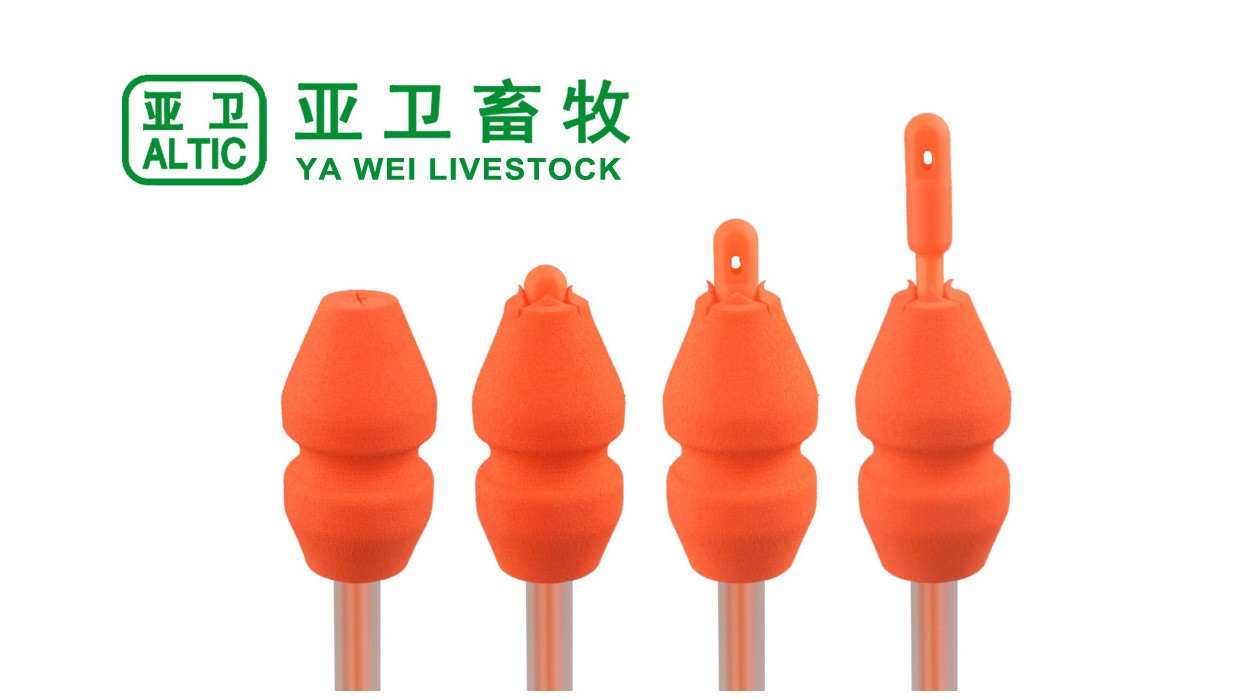 新一代玫瑰花瓣（经产） 玫瑰花蕾（初产）深部输精管图5