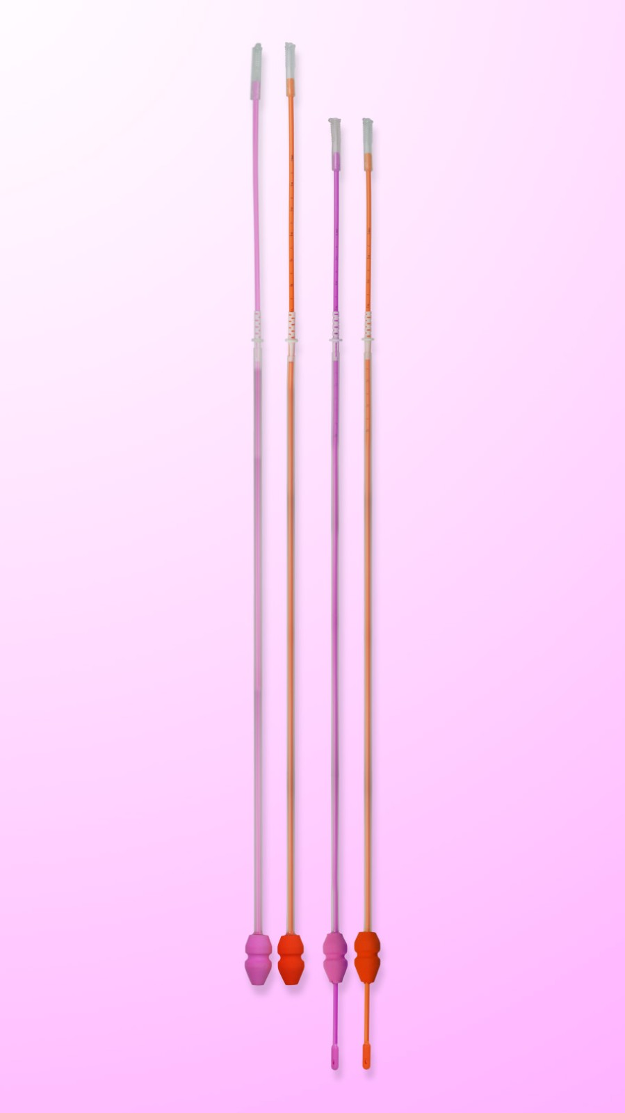 新一代玫瑰花瓣（经产） 玫瑰花蕾（初产）深部输精管图2