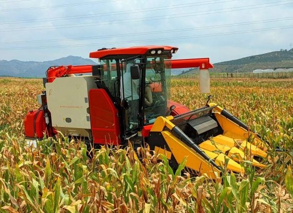 玉米小区联合收获机（单小区）