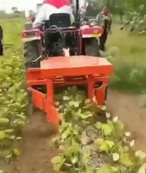 绿豆割晒机视频2