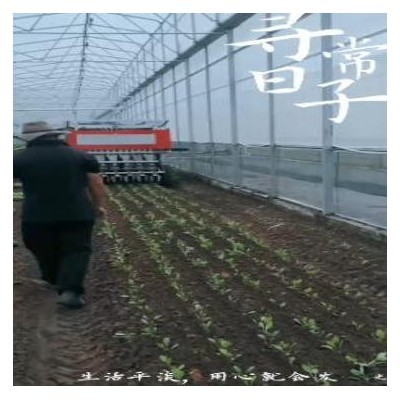 蔬菜移栽机图3