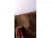 《建国》花生收获机作业视频