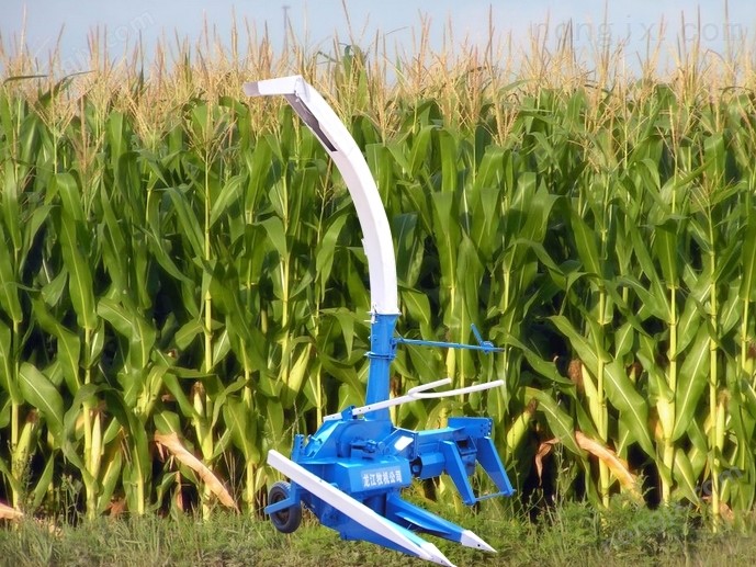 4QS-10型 单行青贮收获机