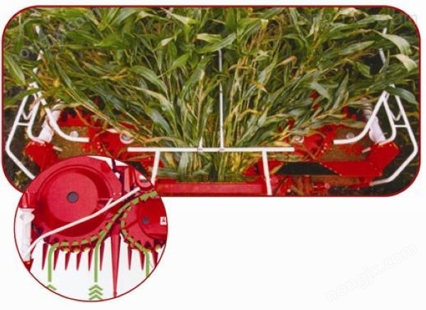 4QZ一3型号青储机图4