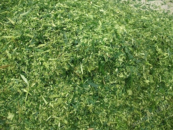 4QZ一2400型号青储机图3