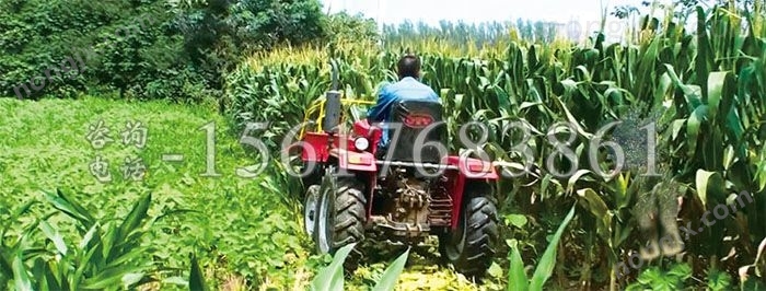 放堆式玉米收割机