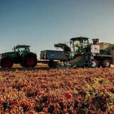 意大利MTS THR自走式番茄采收机