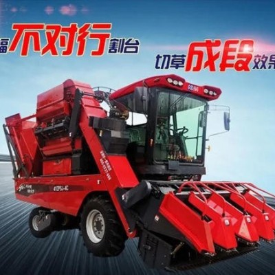 金大丰4YZPSJ-4C玉米收获机