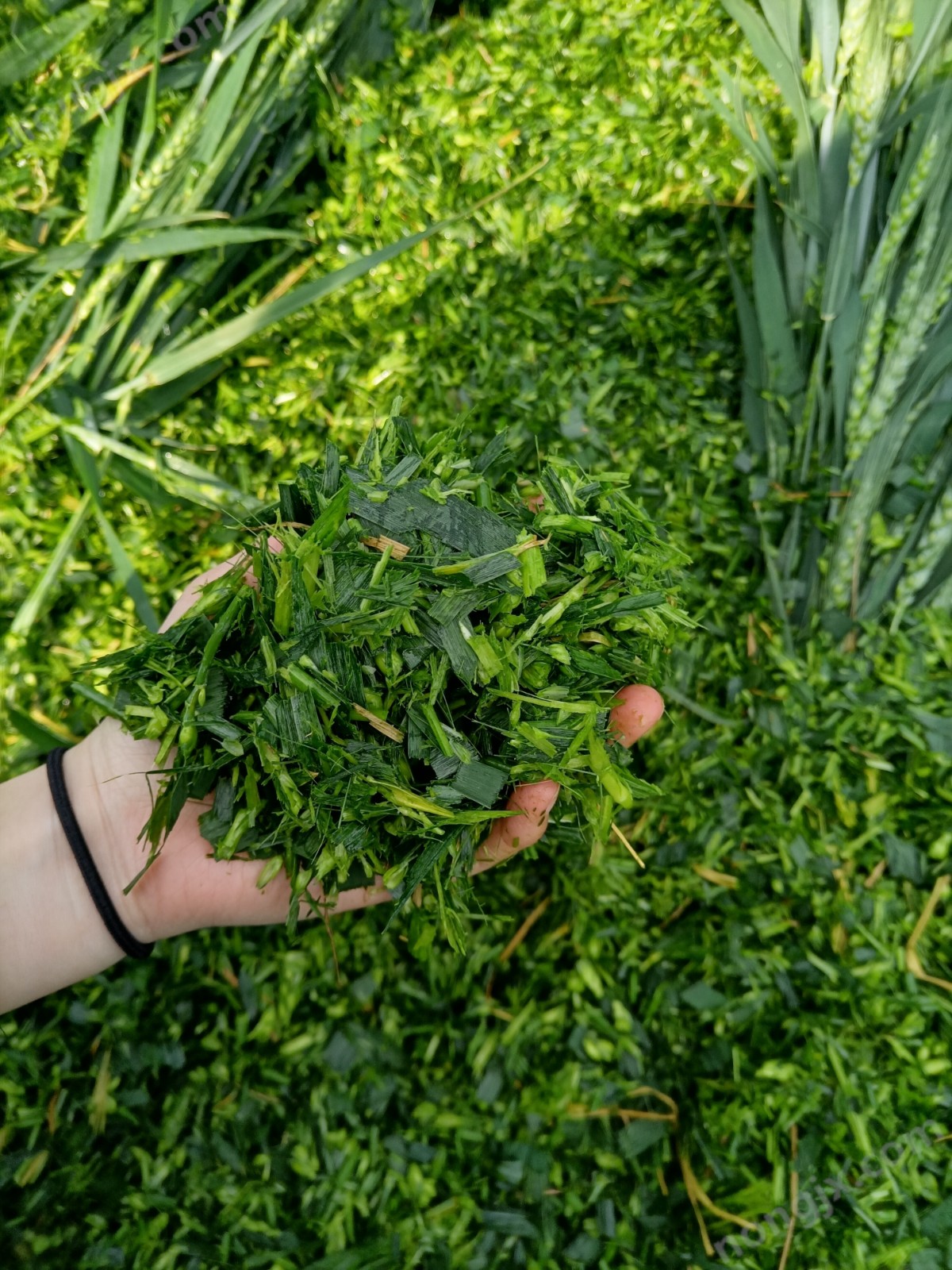 山东美泽农用秸秆收获机图3