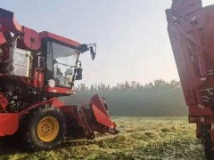 潍坊“三秋”保障、农机作业、烘干点、履带式收获机信息一览