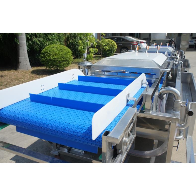 商用无损伤香葱沙拉菜清洗生产线设备果蔬清洗机香菜菠菜洗菜机图4