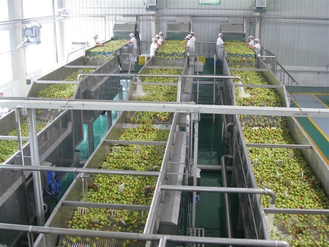 恒立宇 不锈钢食品级 芒果汁加工设备 原浆生产线 1T-10T/H